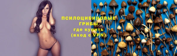 таблы Алзамай