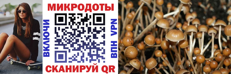 дарнет шоп Поронайск Галлюциногенные грибы GOLDEN TEACHER